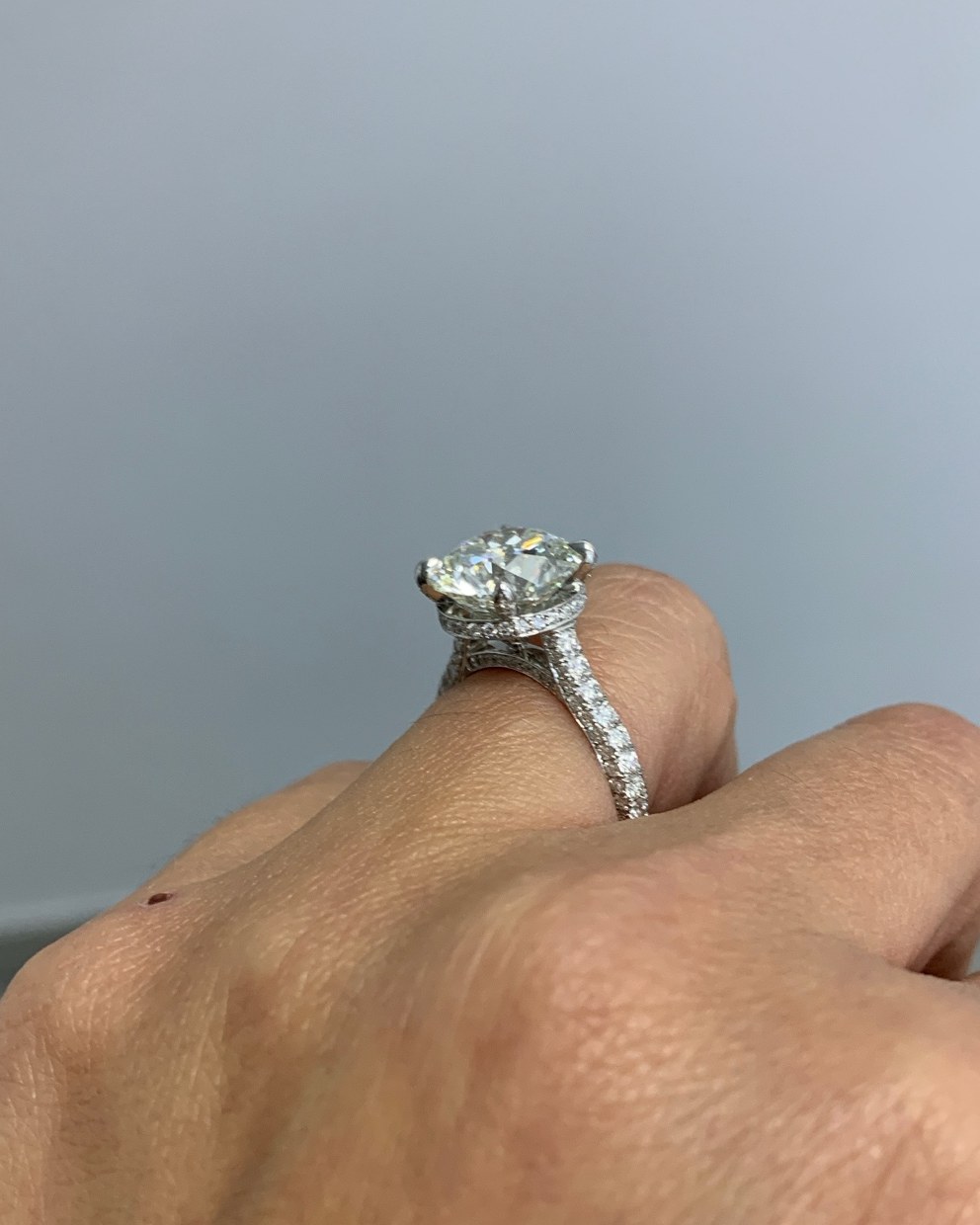 Oval diamond with a hidden halo on a pavé shank in white gold, worn on the hand