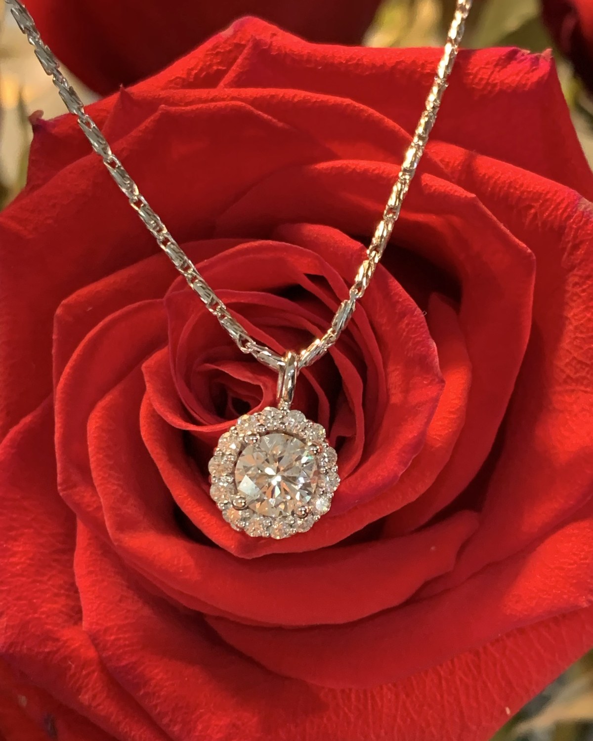 Round floral diamond cluster pendant in warm rose gold on a fine chain, resting in a red rose