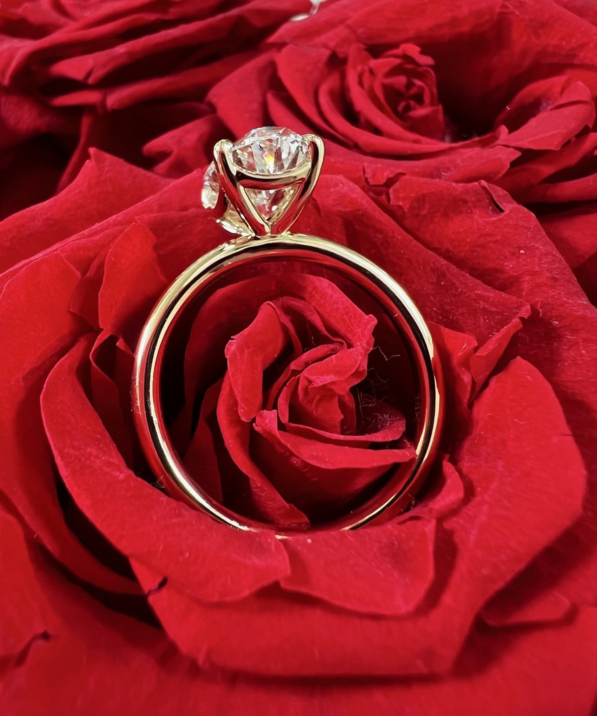 Profile view of an oval diamond solitaire in yellow gold, showing the hidden halo beneath the center stone and the plain band