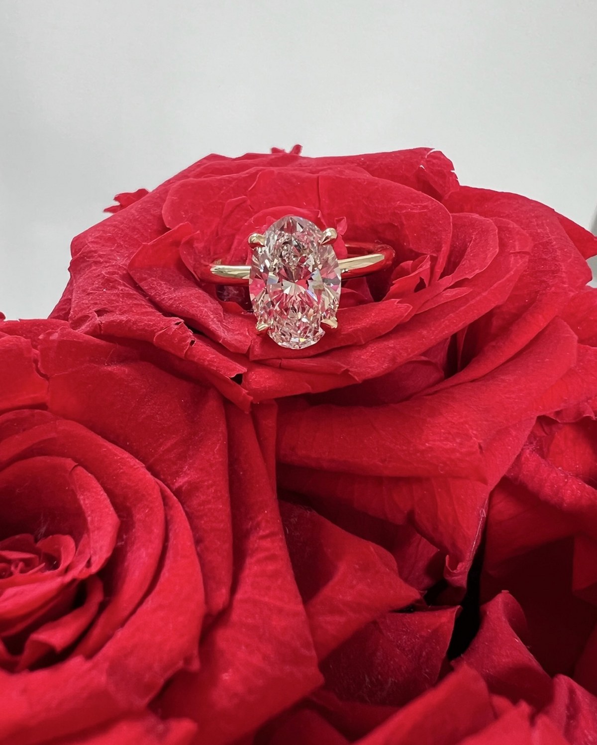 Oval diamond solitaire in a yellow gold setting resting face-up on deep red roses