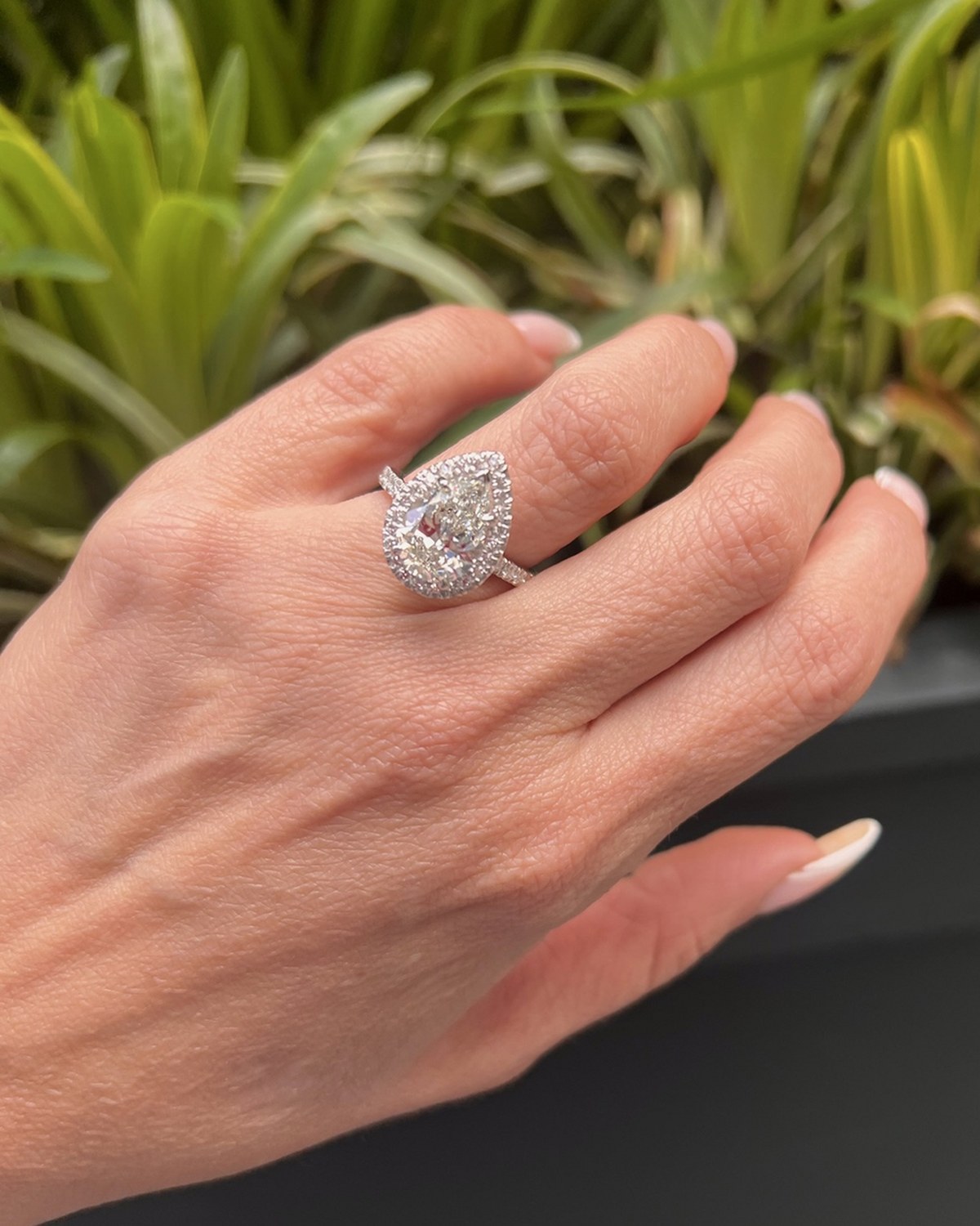 Pear-shape diamond in a single pavé halo on a diamond-set shank, worn on the hand outdoors